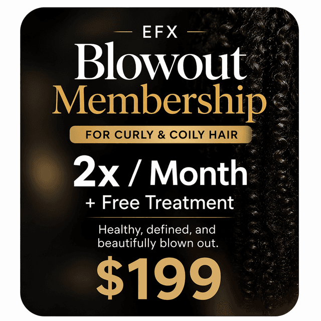 Curly & Coily Blowout Membership at Salon EFX in Silver Spring, MD